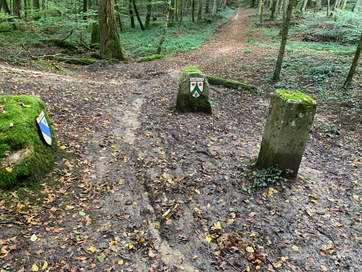 Promenade le long de la frontière - Pfetterhouse