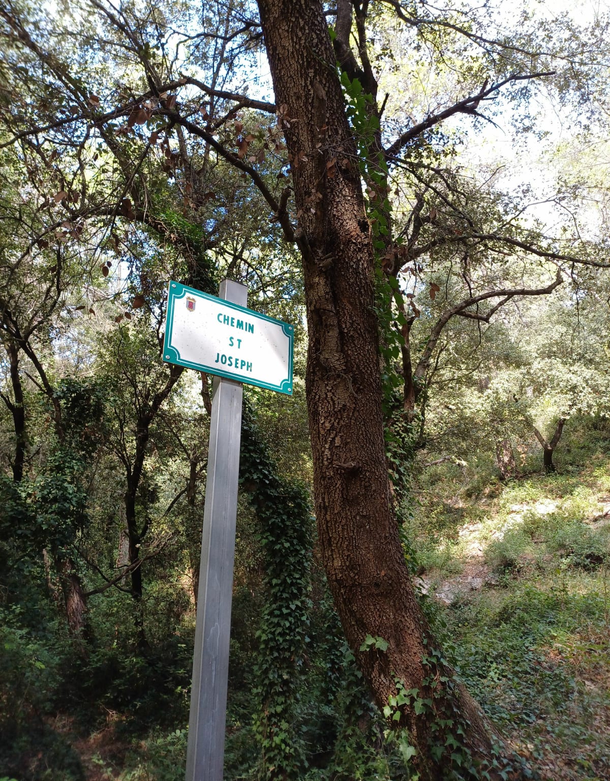 Sur les hauteurs de Puget-Ville - Puget-ville