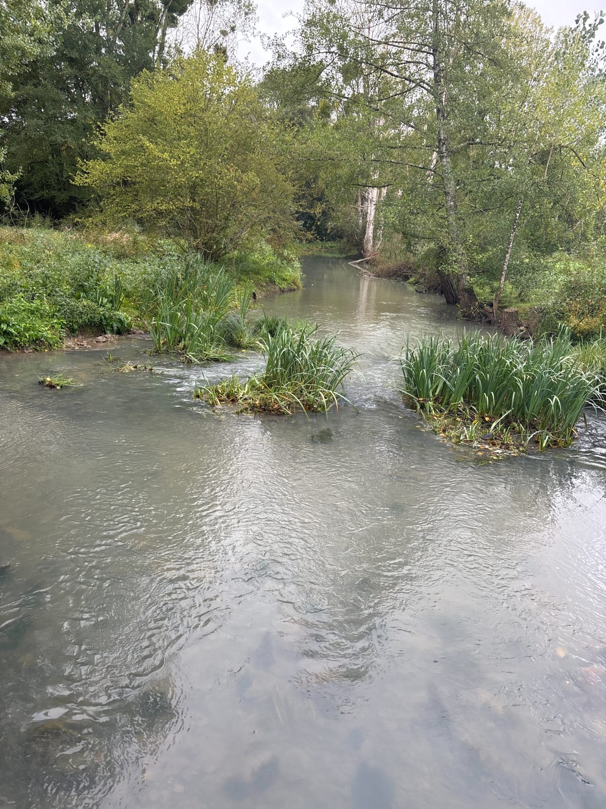 Découvrir la campagne autour de Payroux - Payroux