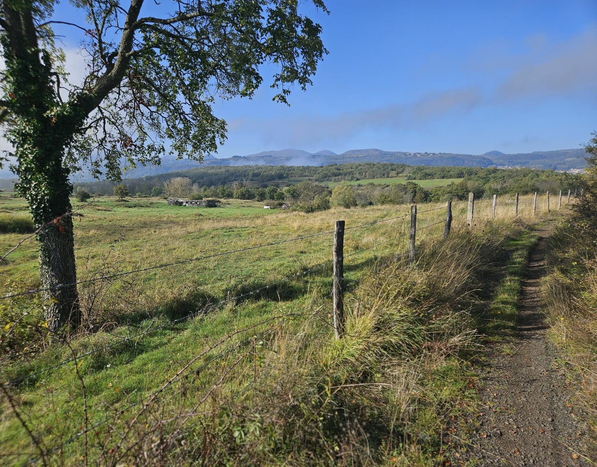 Plateau de Lachaud, de Châteaugay à Volvic par la forêt de M - Châteaugay