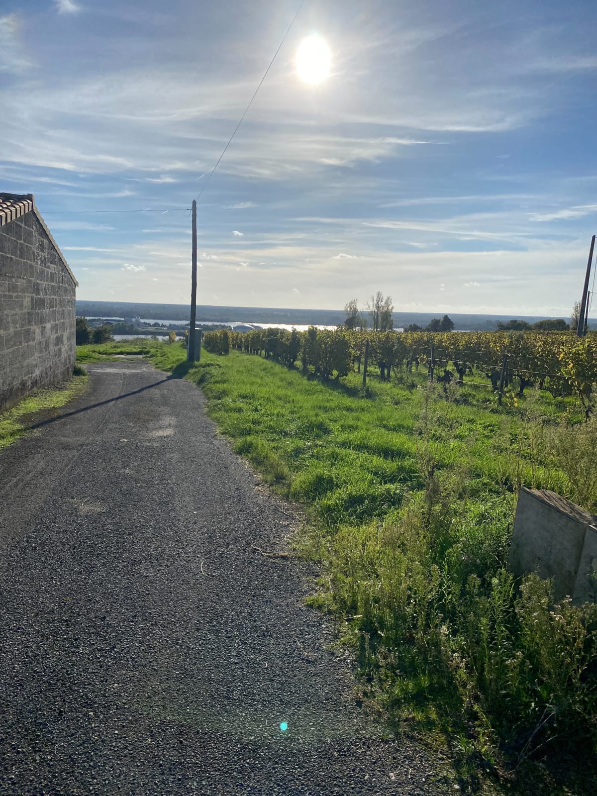 L'estuaire Garonne - Dordogne - Saint-Seurin-de-Bourg