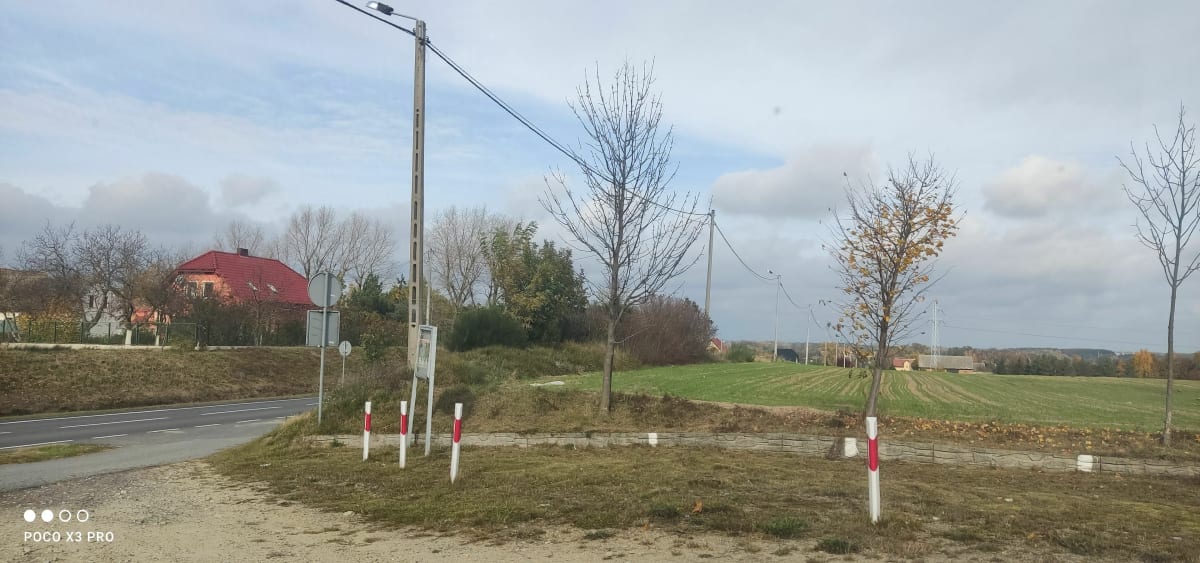 Pierwsza trasa w okolicy Boleslawca - Wiewiórka
