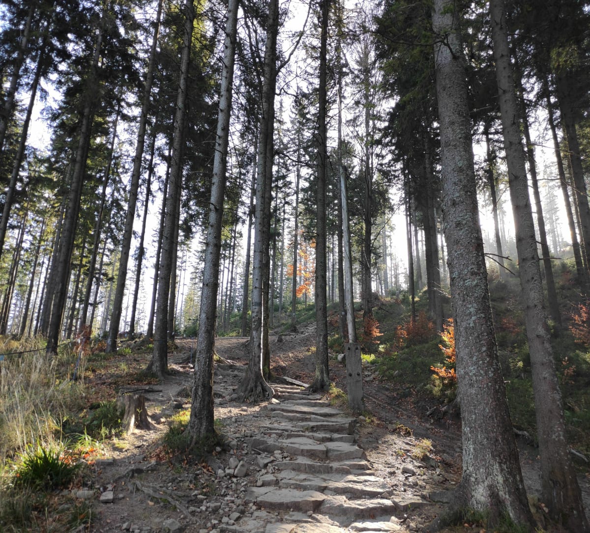 Babia góra, Mała Babia - Aneta