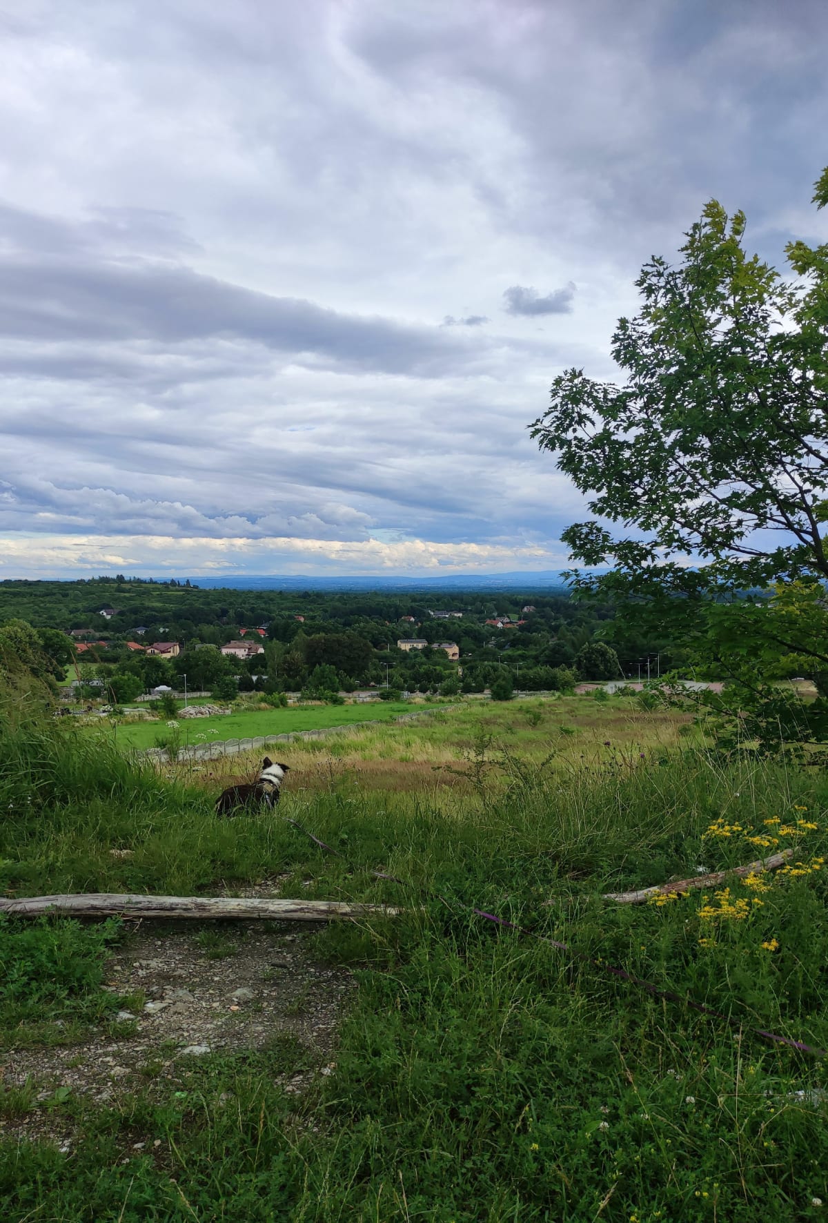 Grodzisko - Libiąż