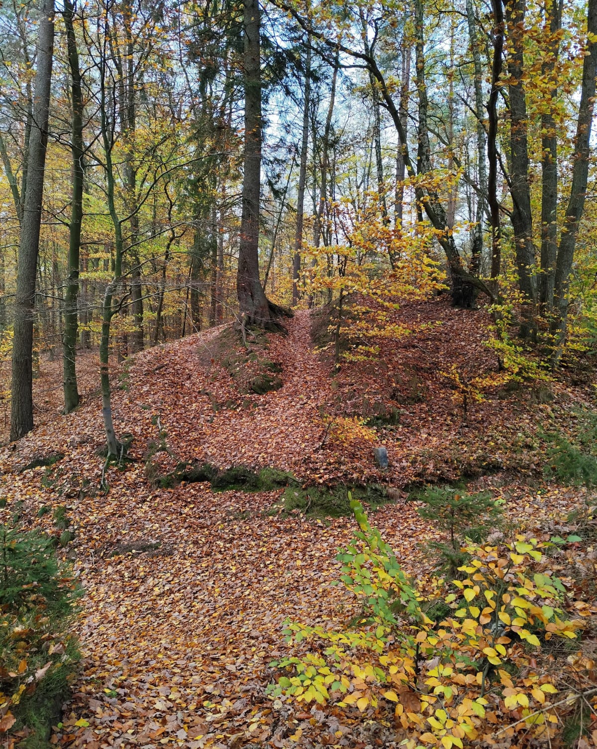 Pętla z parkingu pod Górą Chełmską - Koszalin