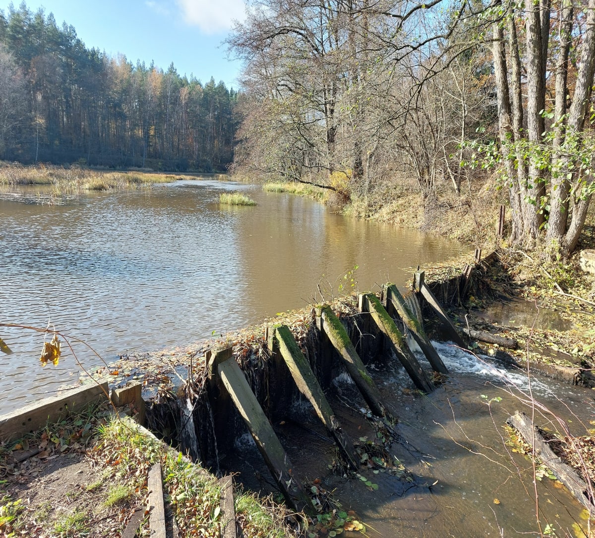 Zalew Gilów i zbiornik Banaszczyk - Drożdżów