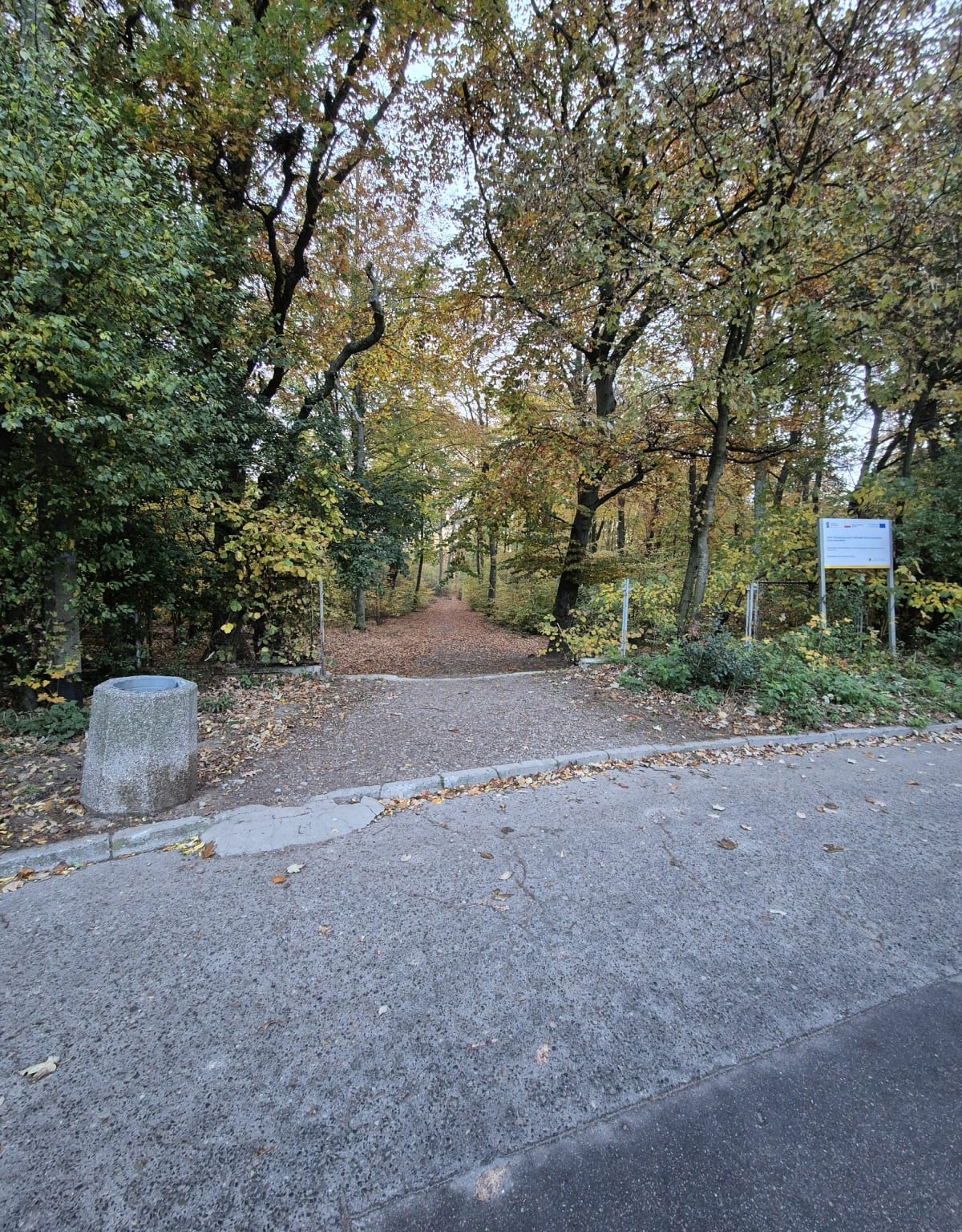 Poranny spacer z psem - Gdańsk