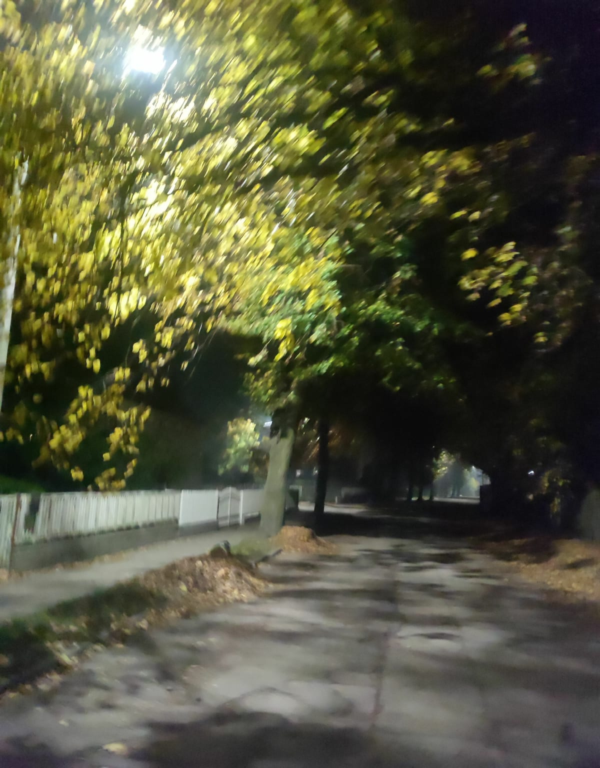 Trasa piesza spokojną okolicą - łatwa - Ostrów Wielkopolski