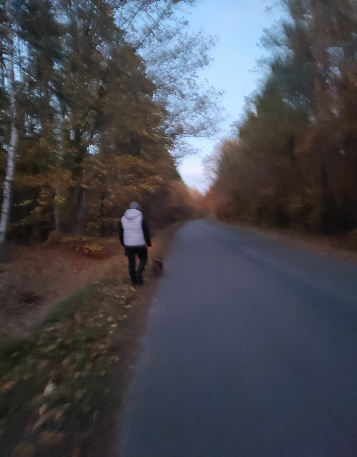 Jesienny spacer z pieskiem - Stawno
