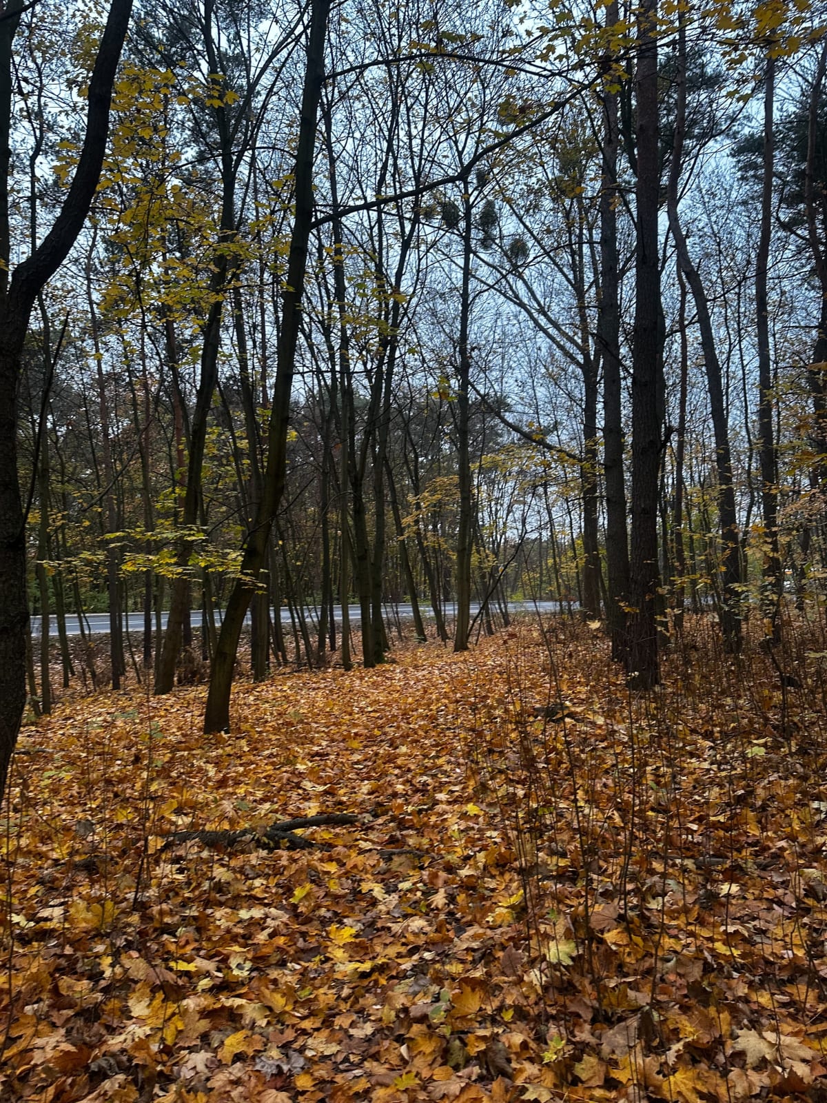 Luźny spacer - Słupno