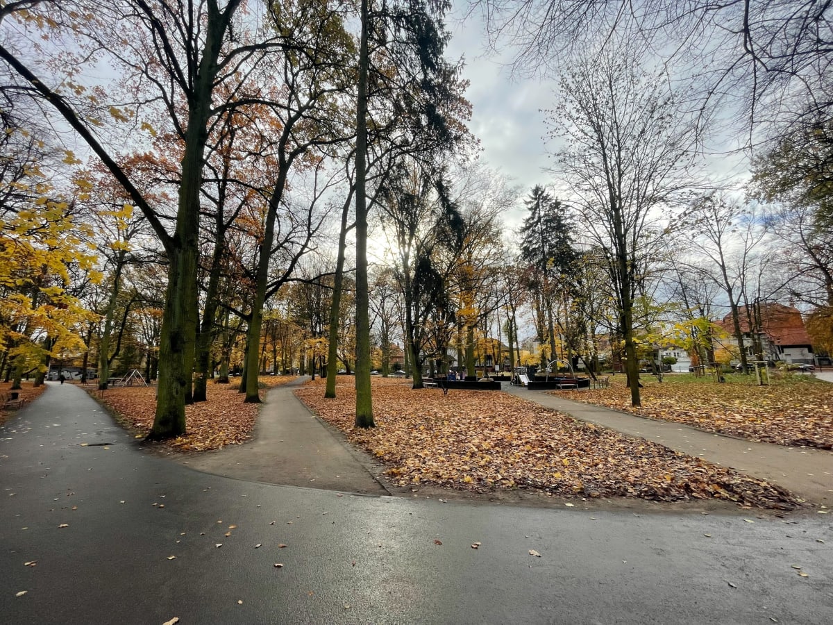 Spacer przez parki starego Pogodna - Szczecin