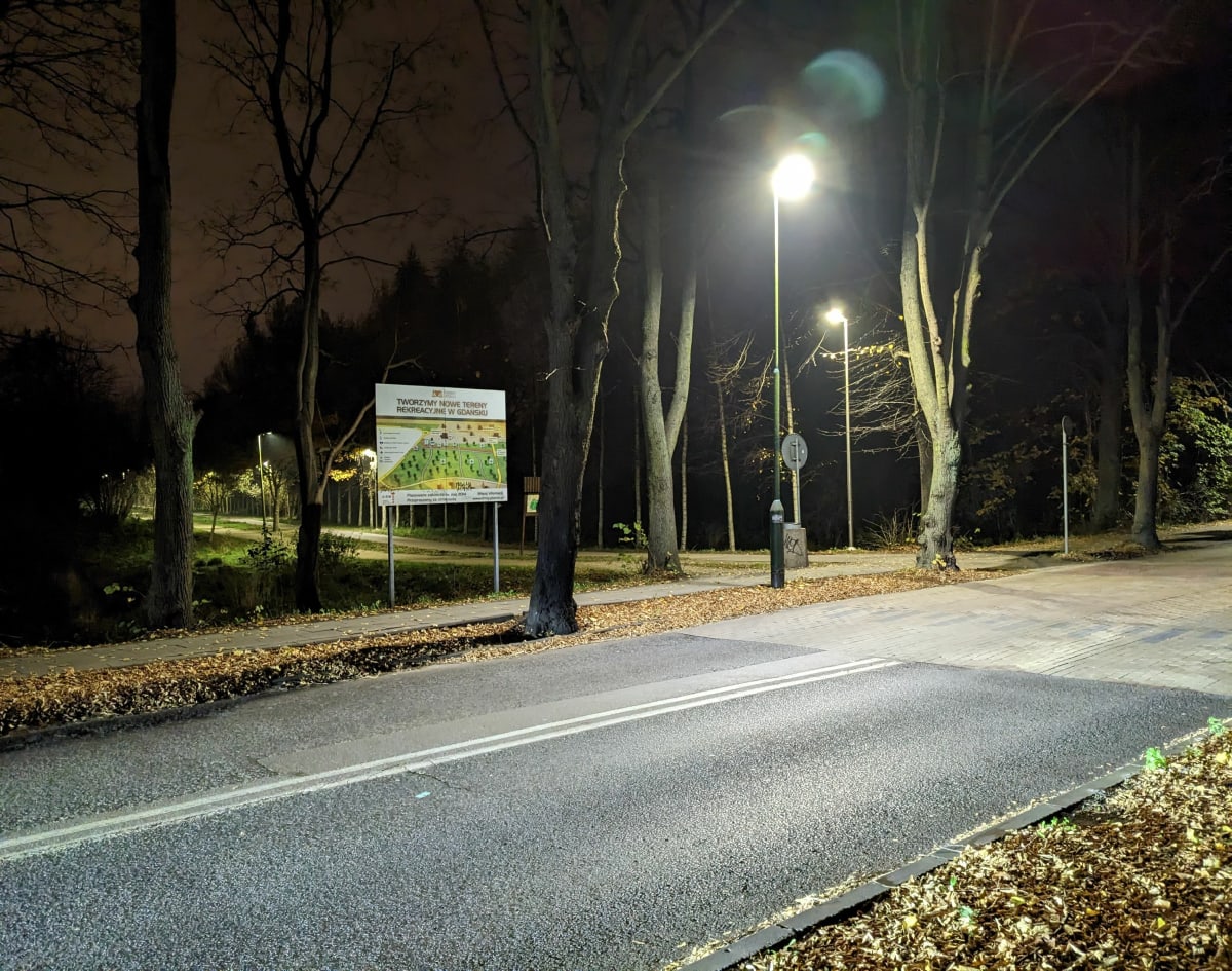 Spacer z psem - Gdańsk