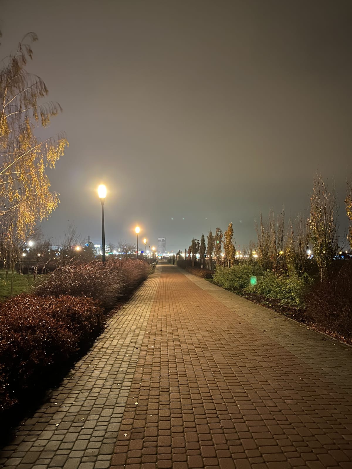 Tęskniąc za Parkiem - Rzeszów
