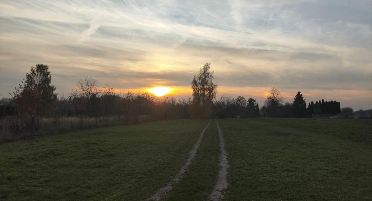 Libiąskie pola i panoramiczny widok na las - Libiąż