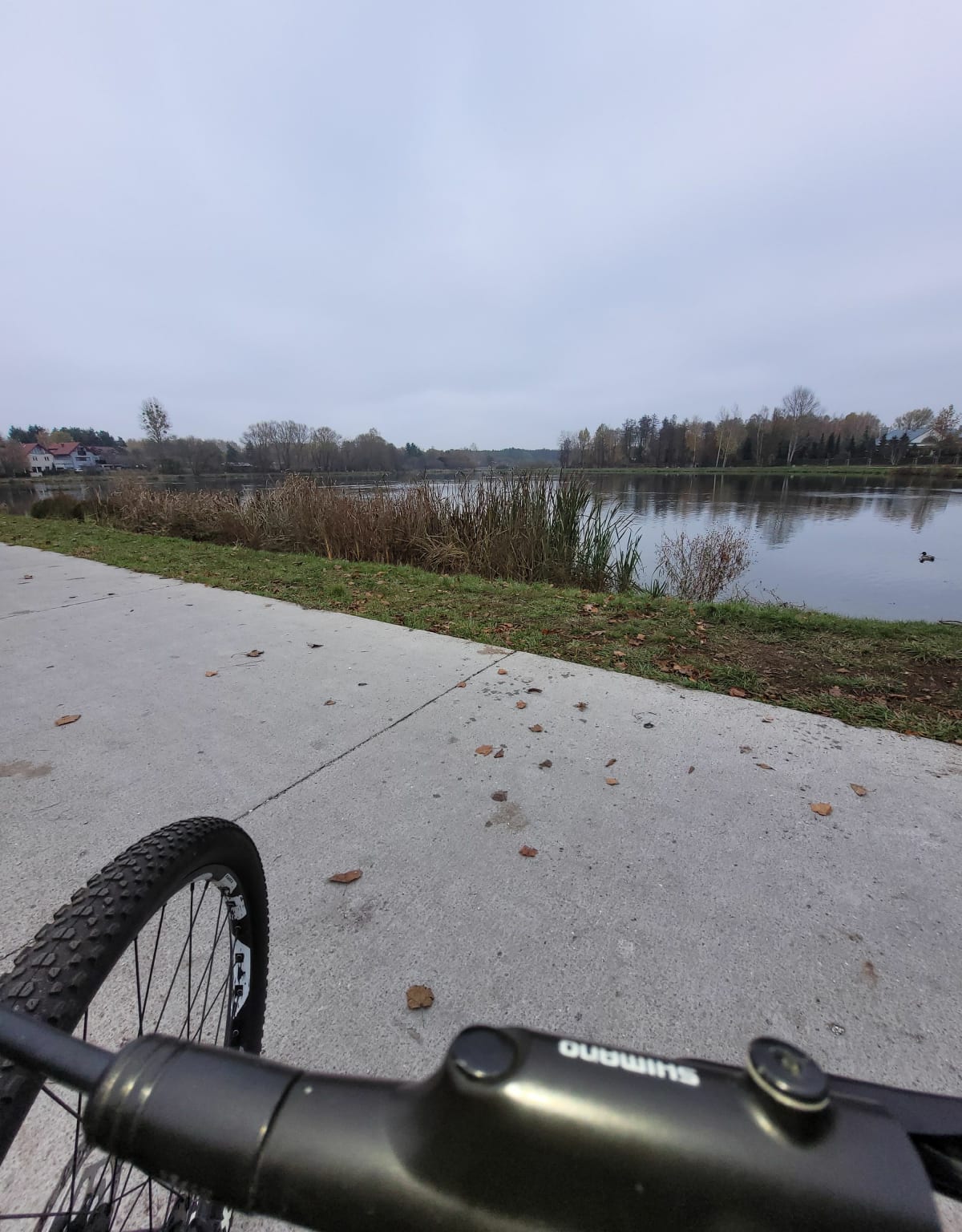 Piastów / Brwinów / Podkowa - Piastów