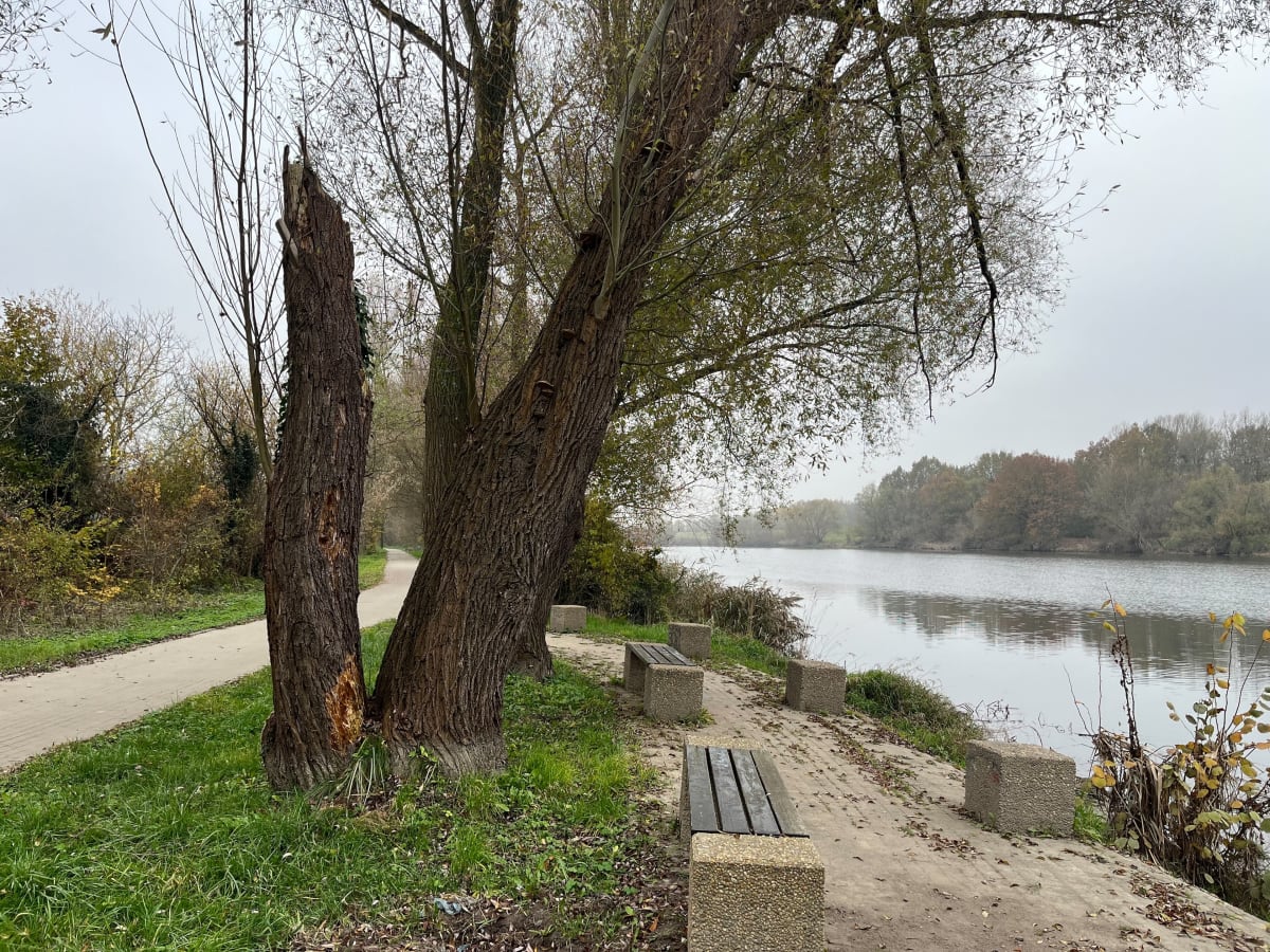 Rodzinna wycieczka rowerowa - Opole