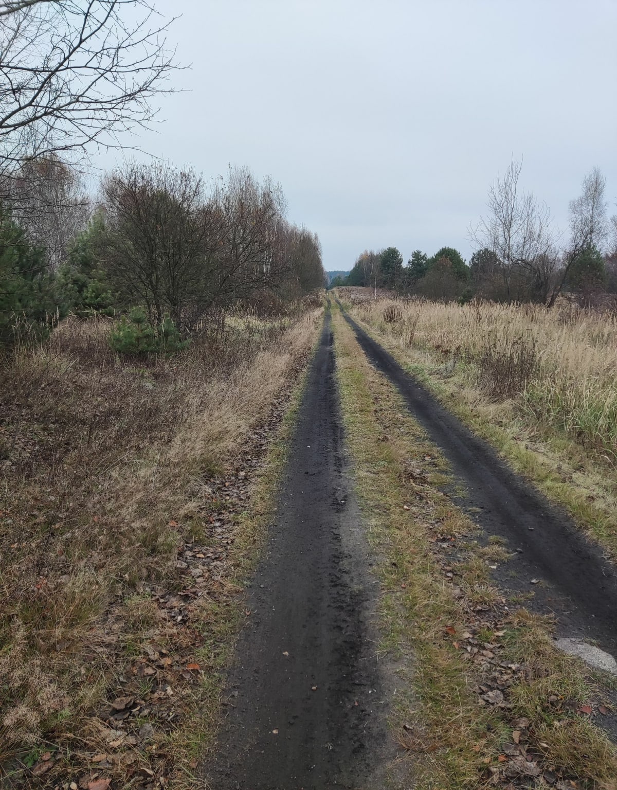 Spacer, nordic walking lub przebieżka - Skarżysko Kościelne