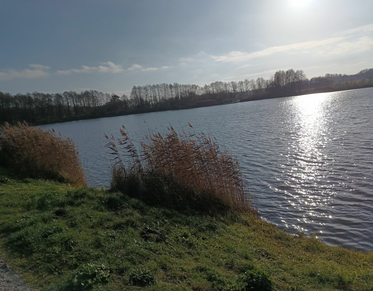 Droga nad stawy w Bedoniu - Łódź