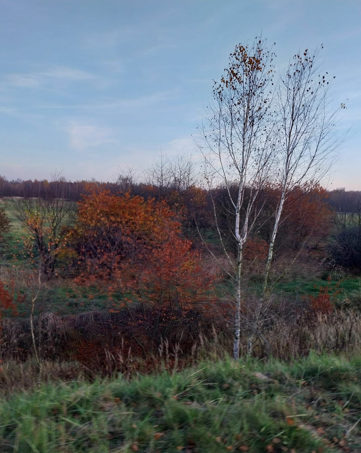 Pętla nad Przemsza i Wawolnica - Jaworzno