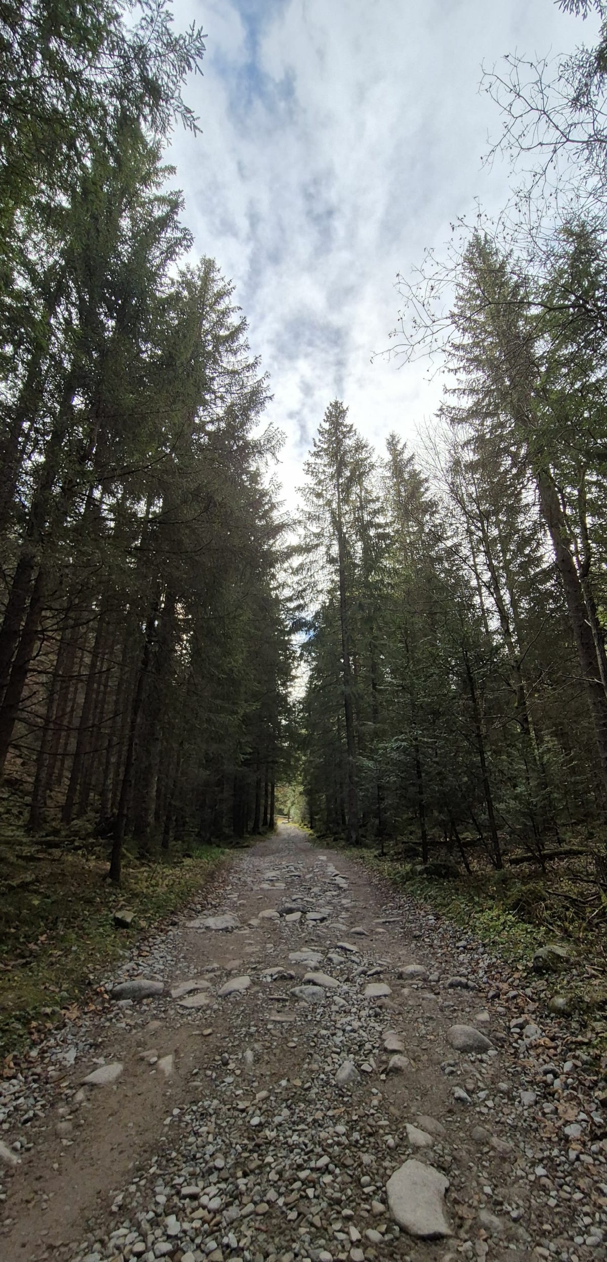 Pod Kasprowy - Zakopane