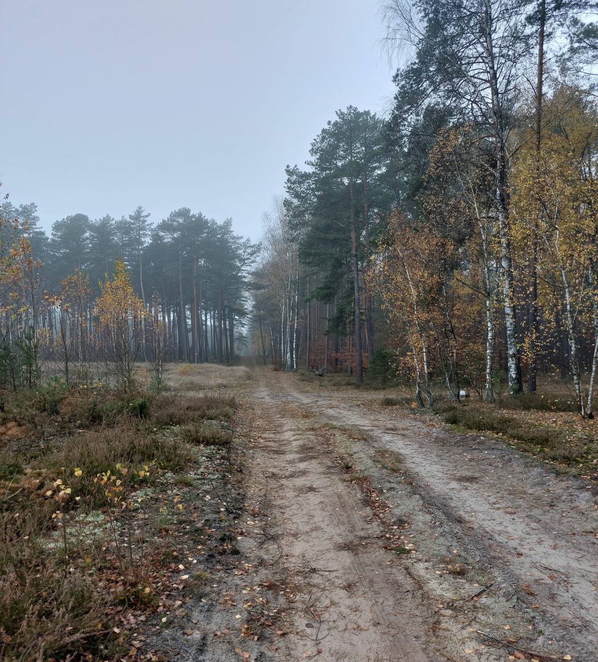 Spacer na skraju Borów Tucholskich - Błądzim