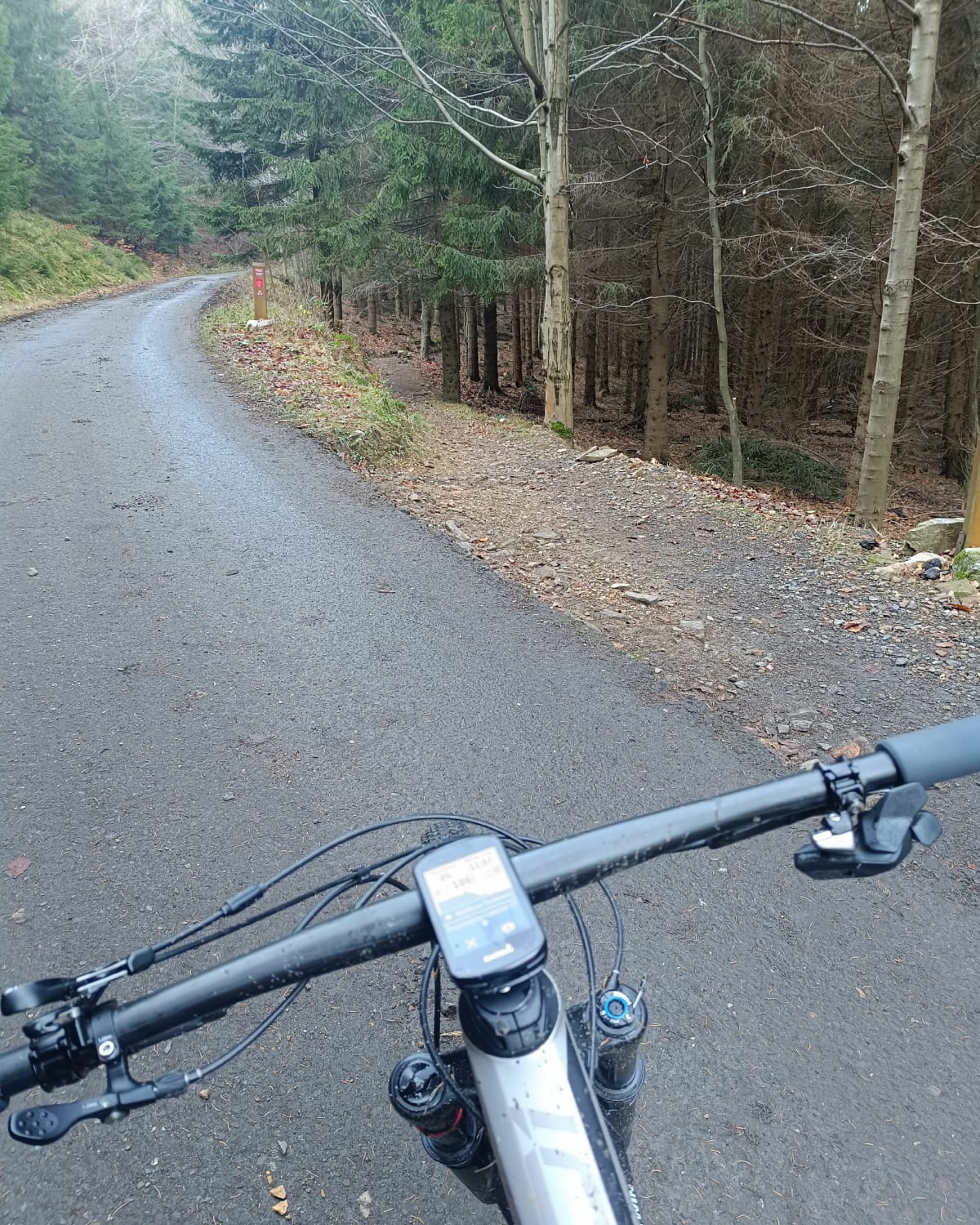Kolarstwo Górskie MTB Singletrack Świeradów - Hejnice
