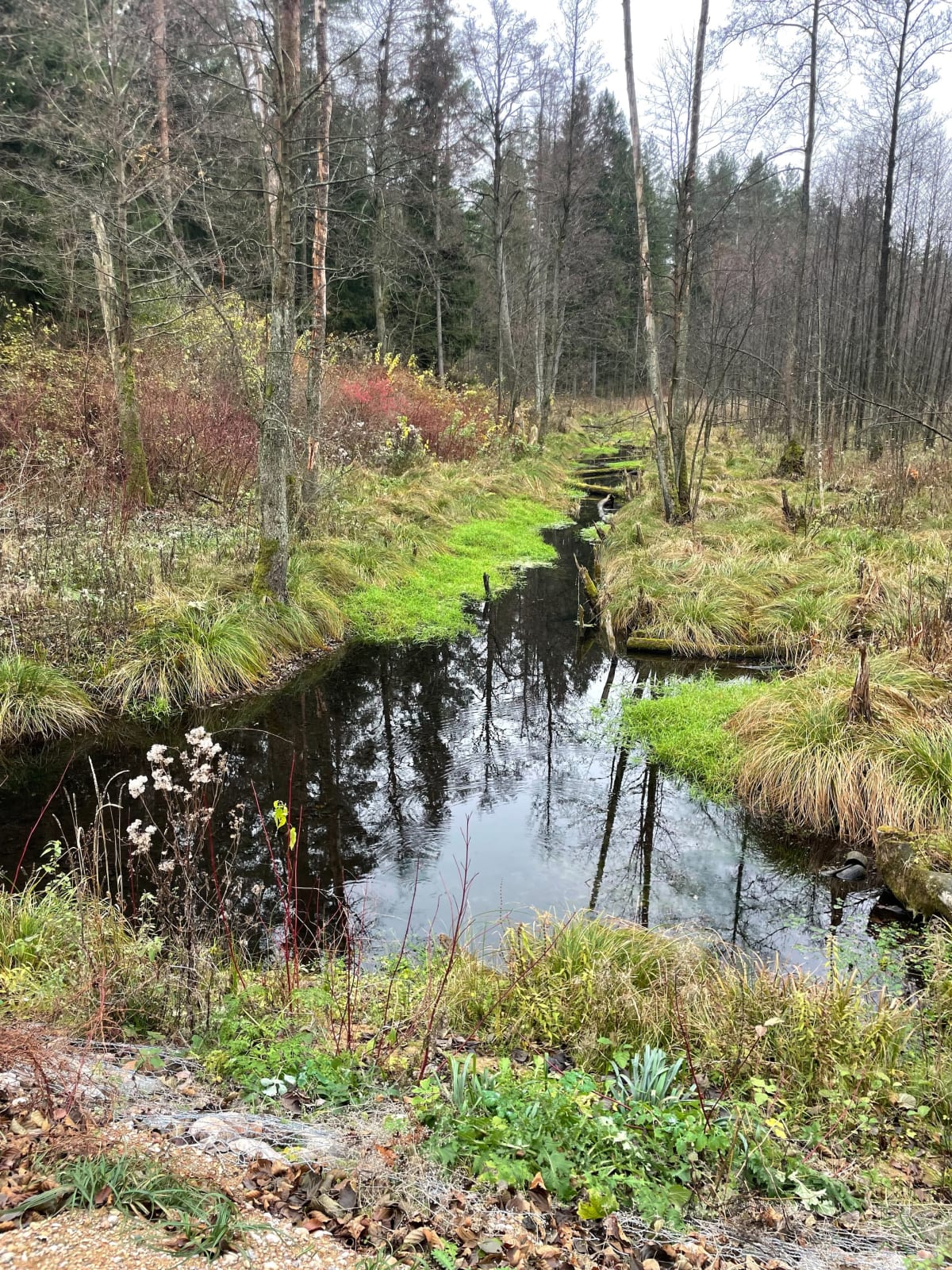 Majówka do strumyka - Majówka