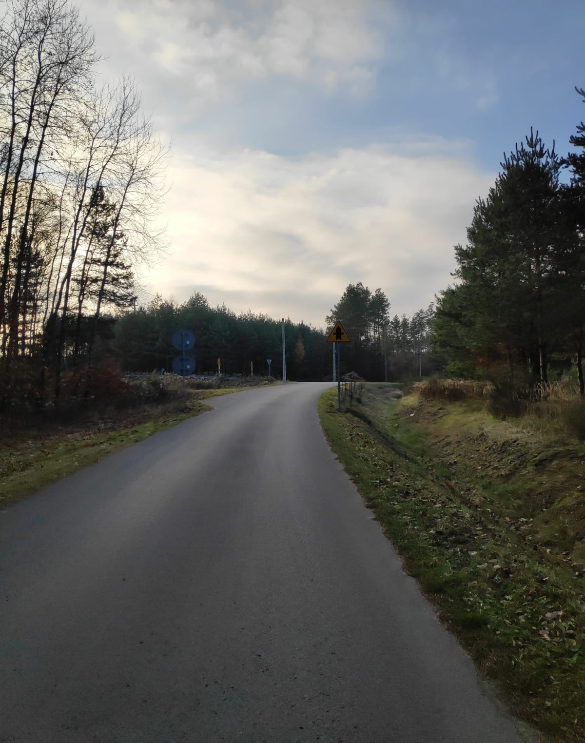 Pętelka czarniejska - Czarna