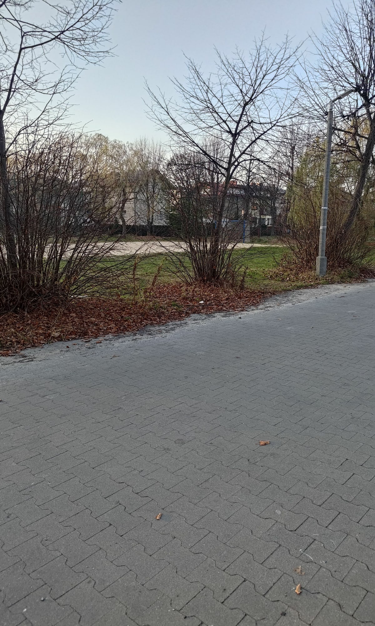 Spacer Olkusz - Olkusz