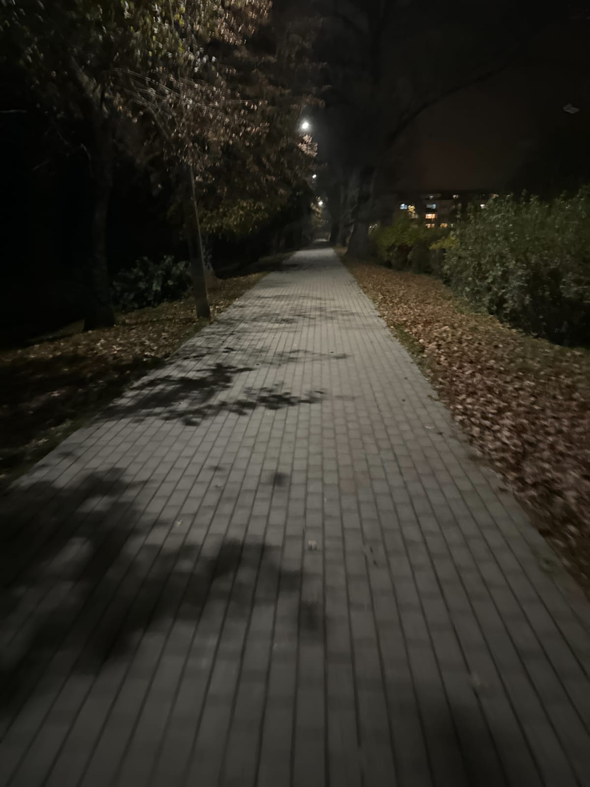 Spacer przez park miejski i okolice zamku Krzyżackiego - Nidzica