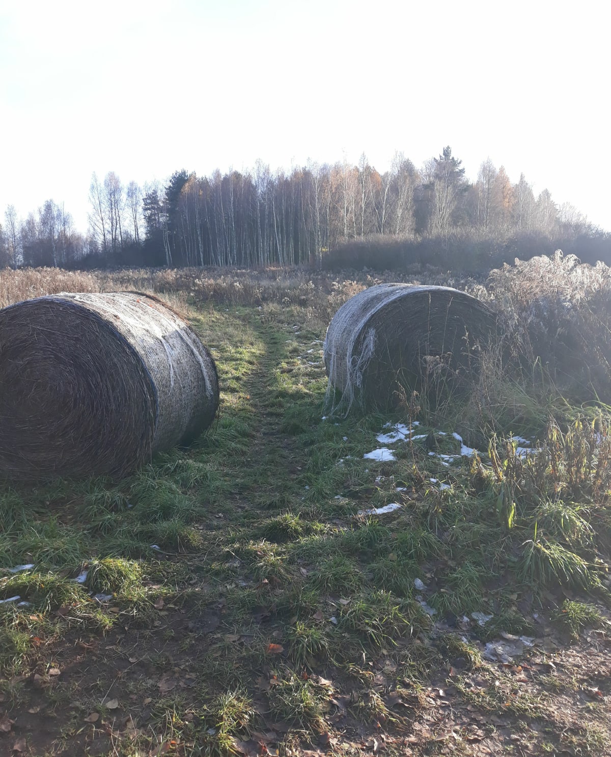 Spokojny spacer - Jaworzno