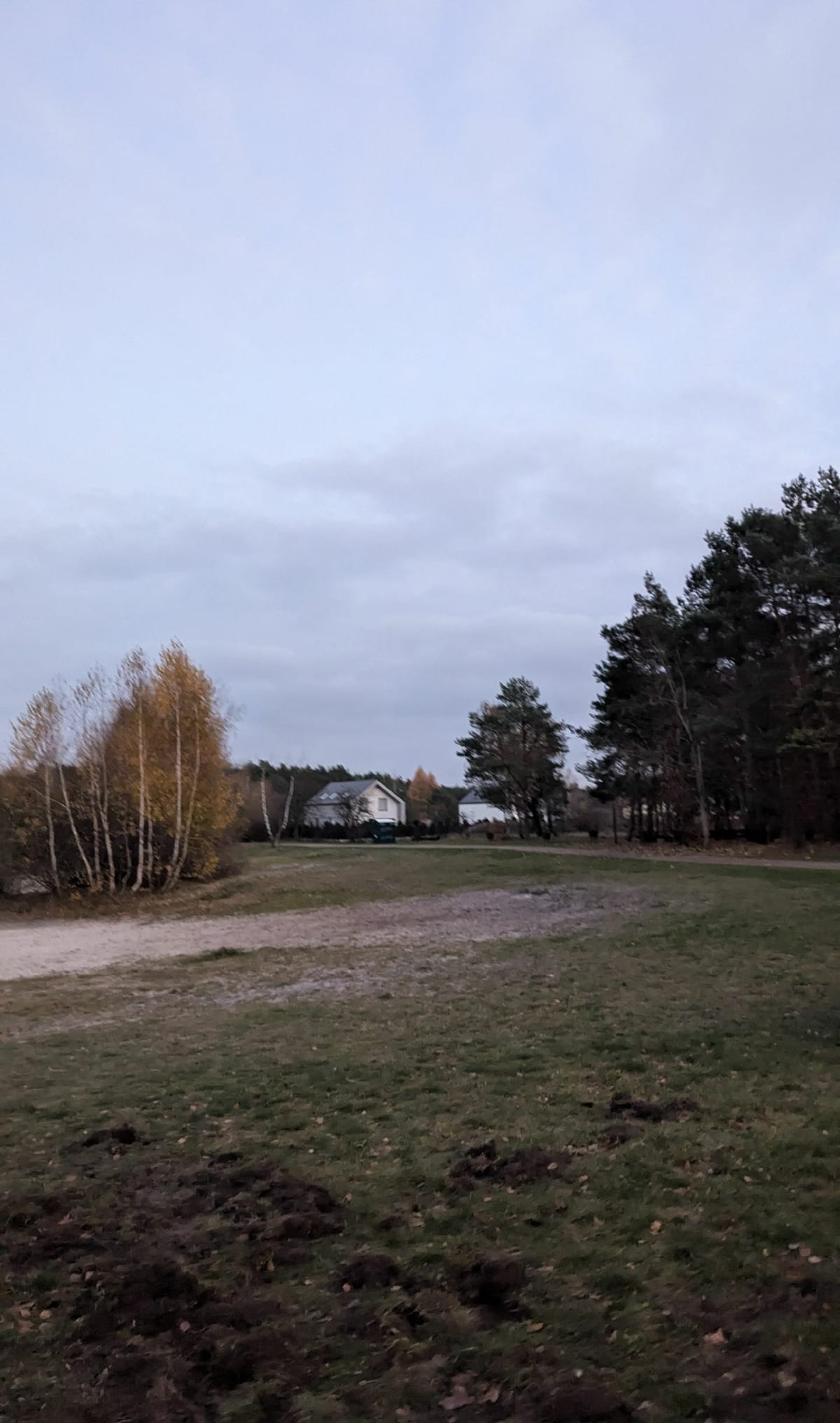 Trasa po lesie Lublinek - Łódź