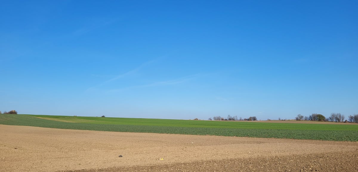 W cieniu samolotów - Rząska