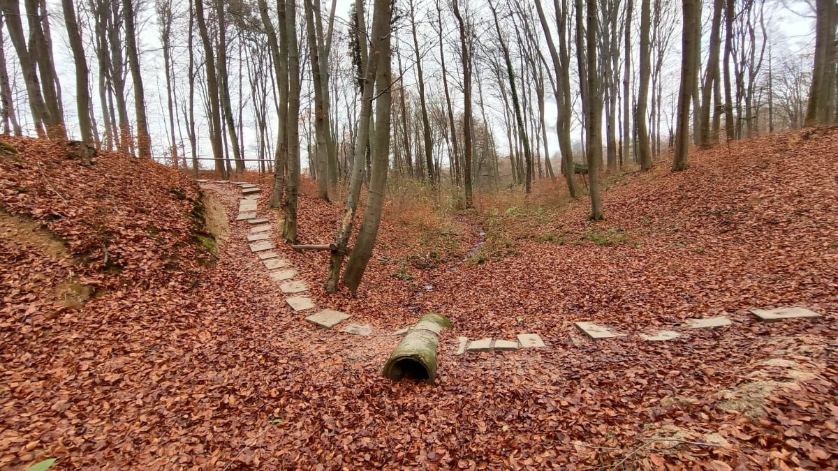 Przyslasek wędrówka/spacer - Hermanowa