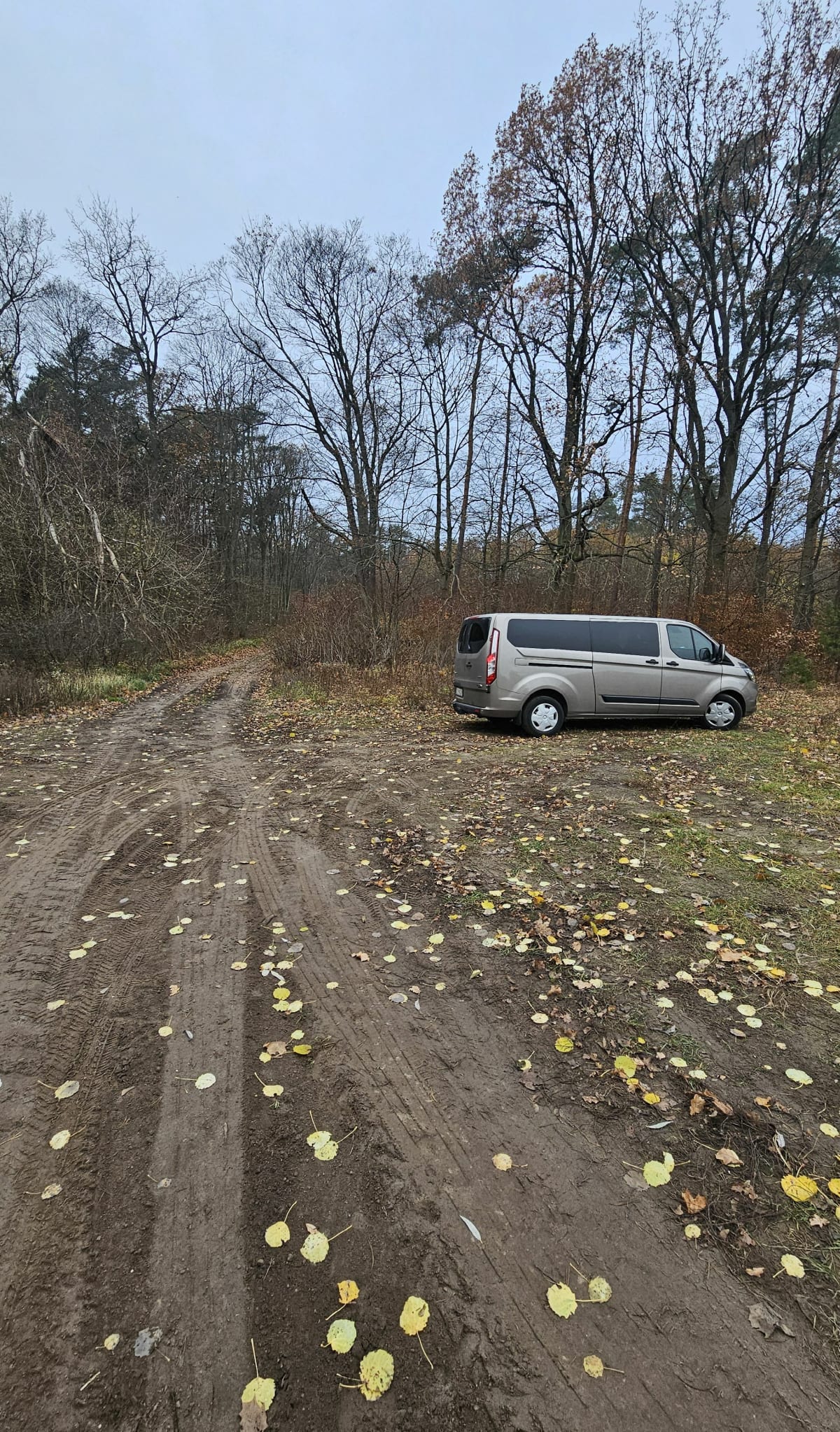 Lisia pętla - Karolew