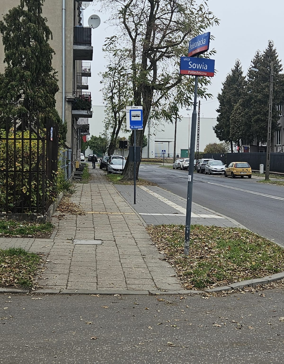Bieg do parku na zdrowiu - Łódź