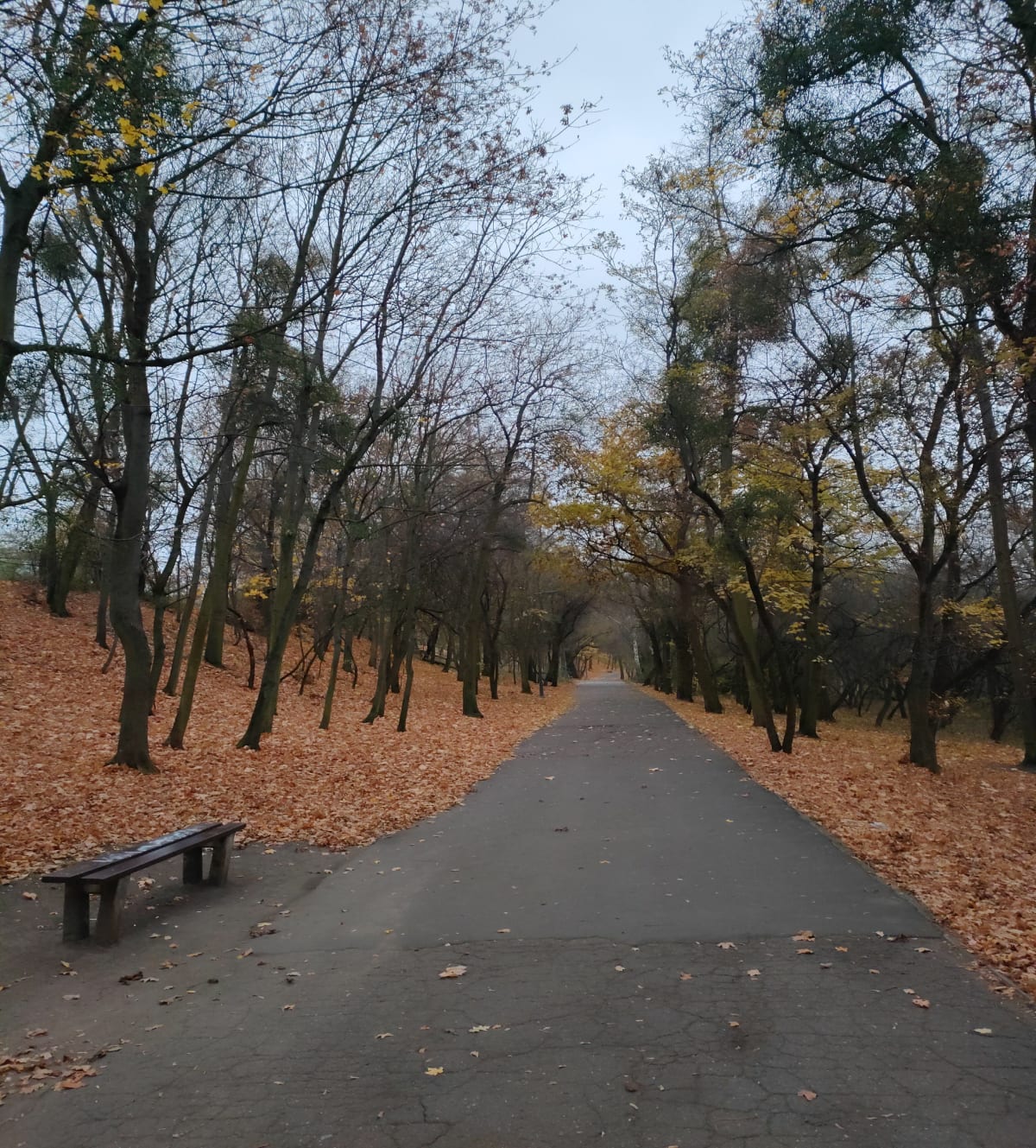 Ratajska pętla wokół Warty - Poznań
