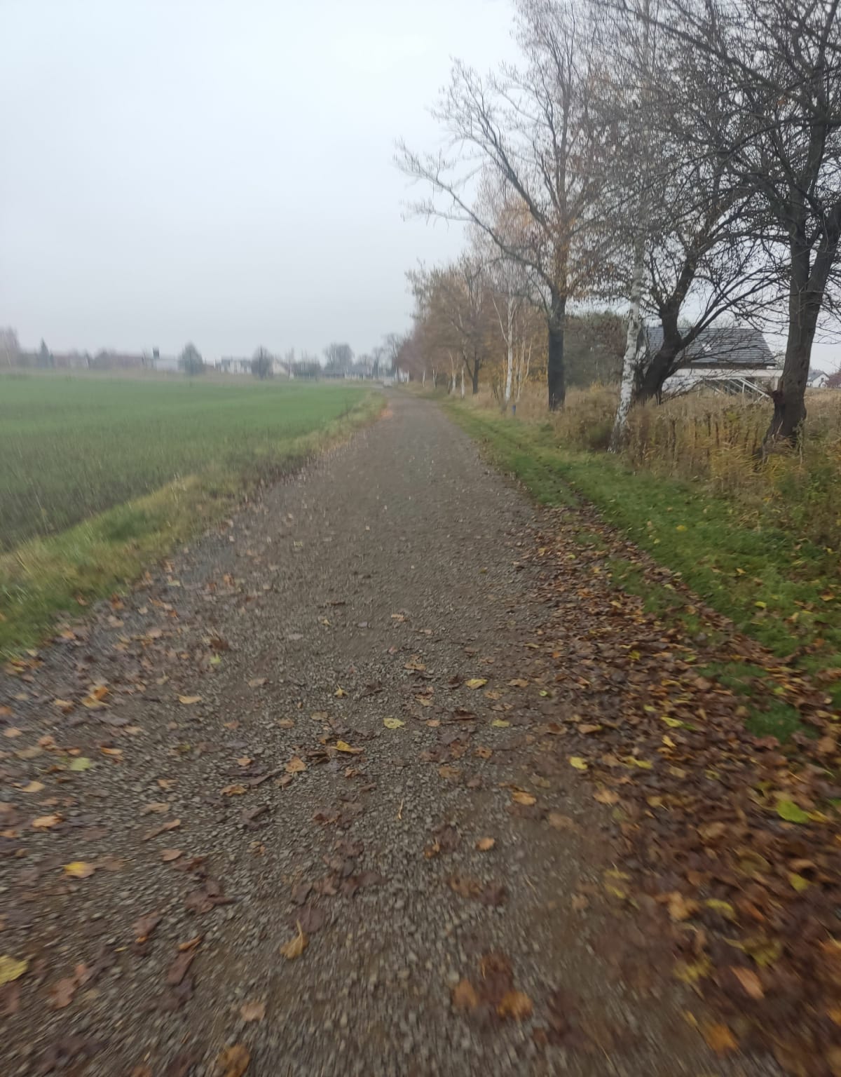 Pętla na otwartej przestrzeni Ligota Zamecka-Ligota Górna - Kluczbork