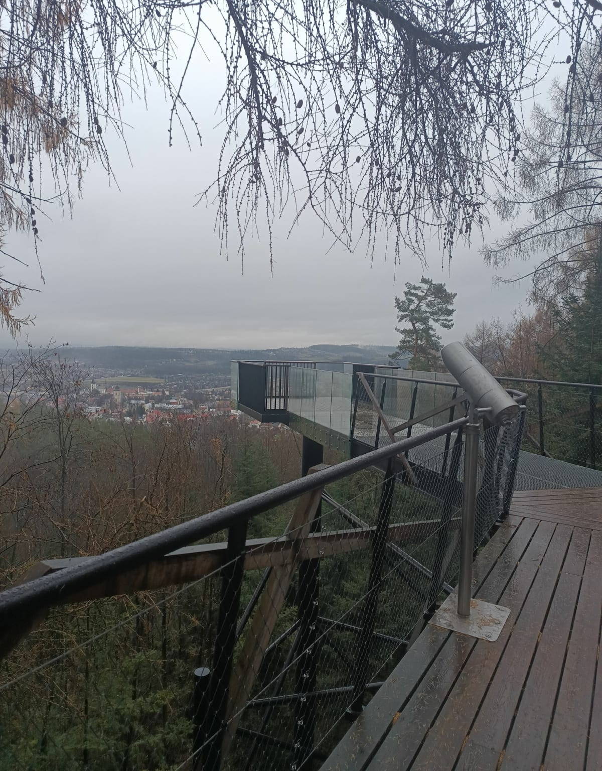 Leśne Molo na górze miejskiej w Starym Sączu - Stary Sącz