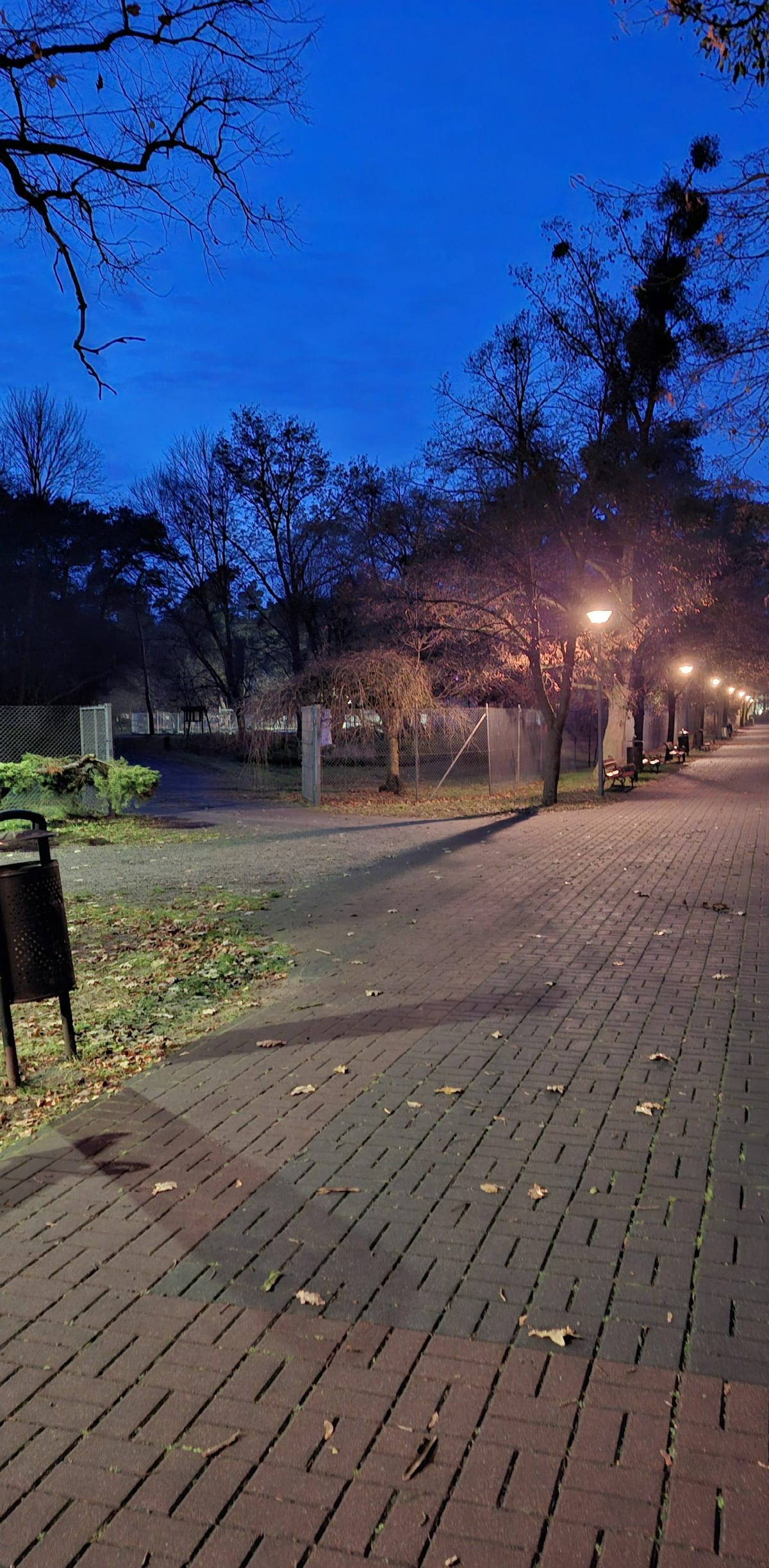 Park powstańców wielkopolskich - Śrem