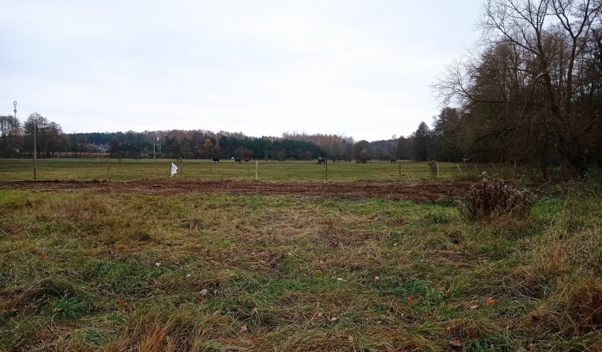 Przez Matecznik nad rzęczkę - Andrzej