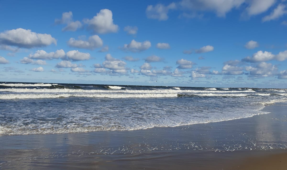 Sobieszewo morze i las - Gdańsk