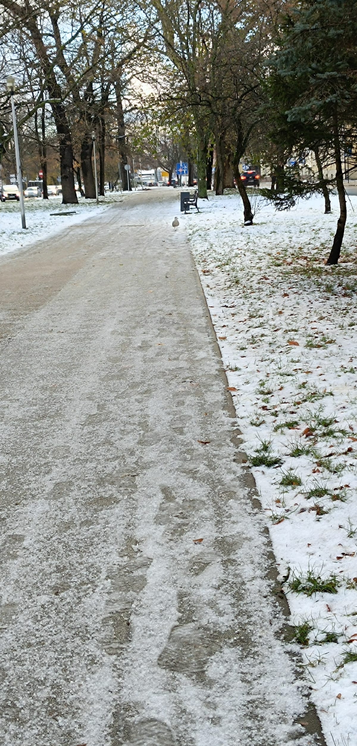 Relaksujący spacerek - Słupsk