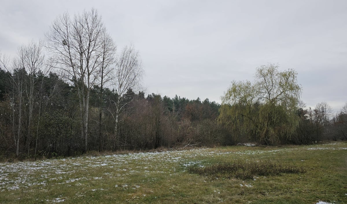 Ostrołęka - spacer na plażę - Ostrołęka