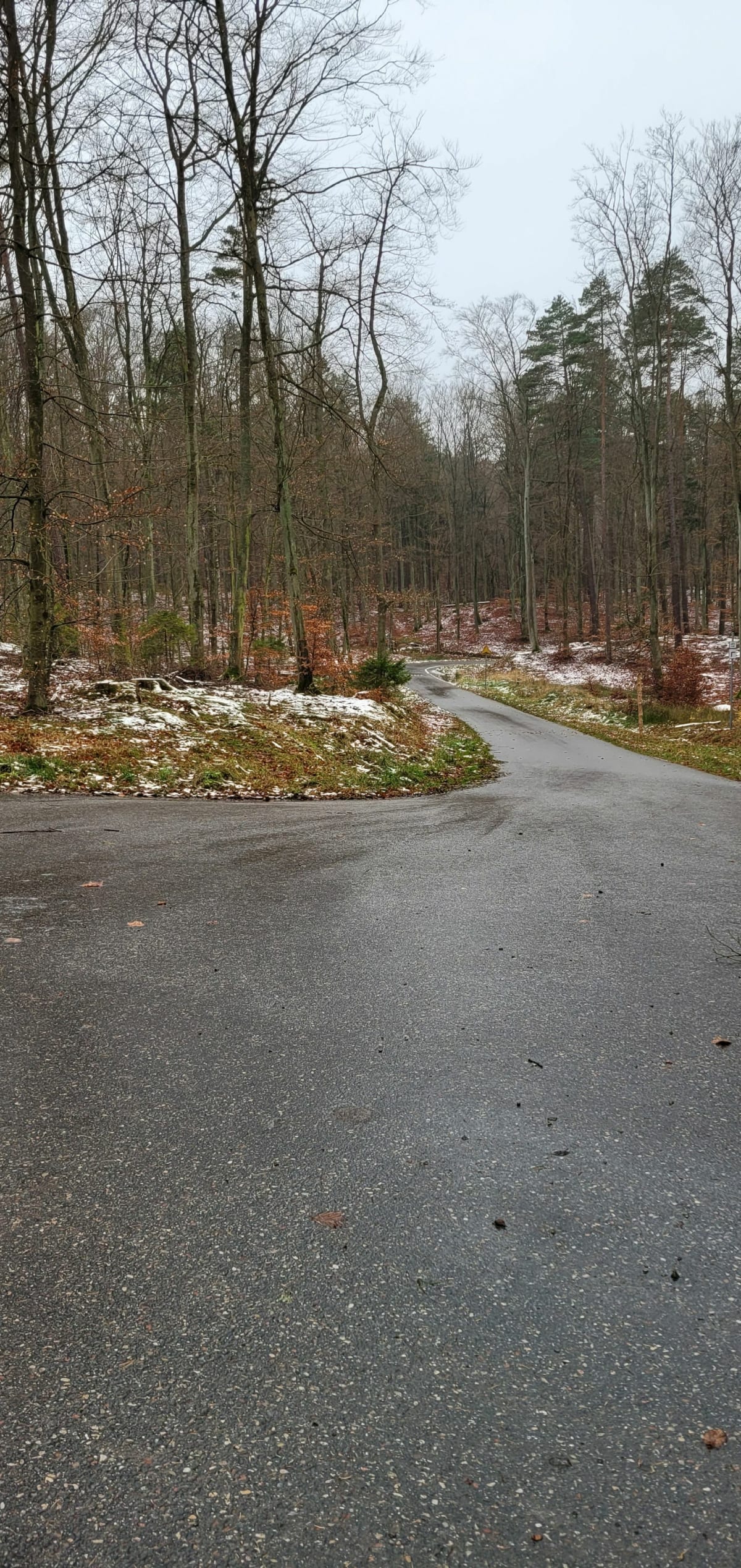 Z Matarni orzez TPN i Kleszą Drogę - Gdańsk