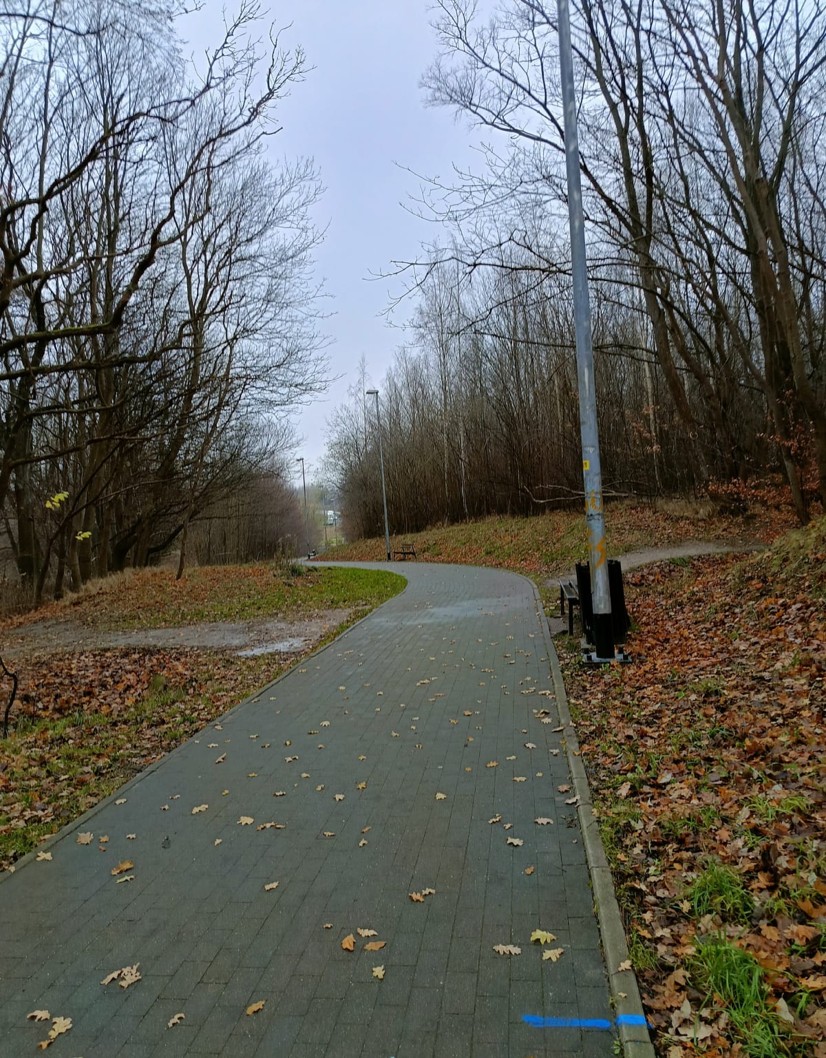 Pętla na Zakoniczynie - Gdańsk