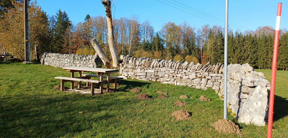 La belle d'Entreroche - La Longeville