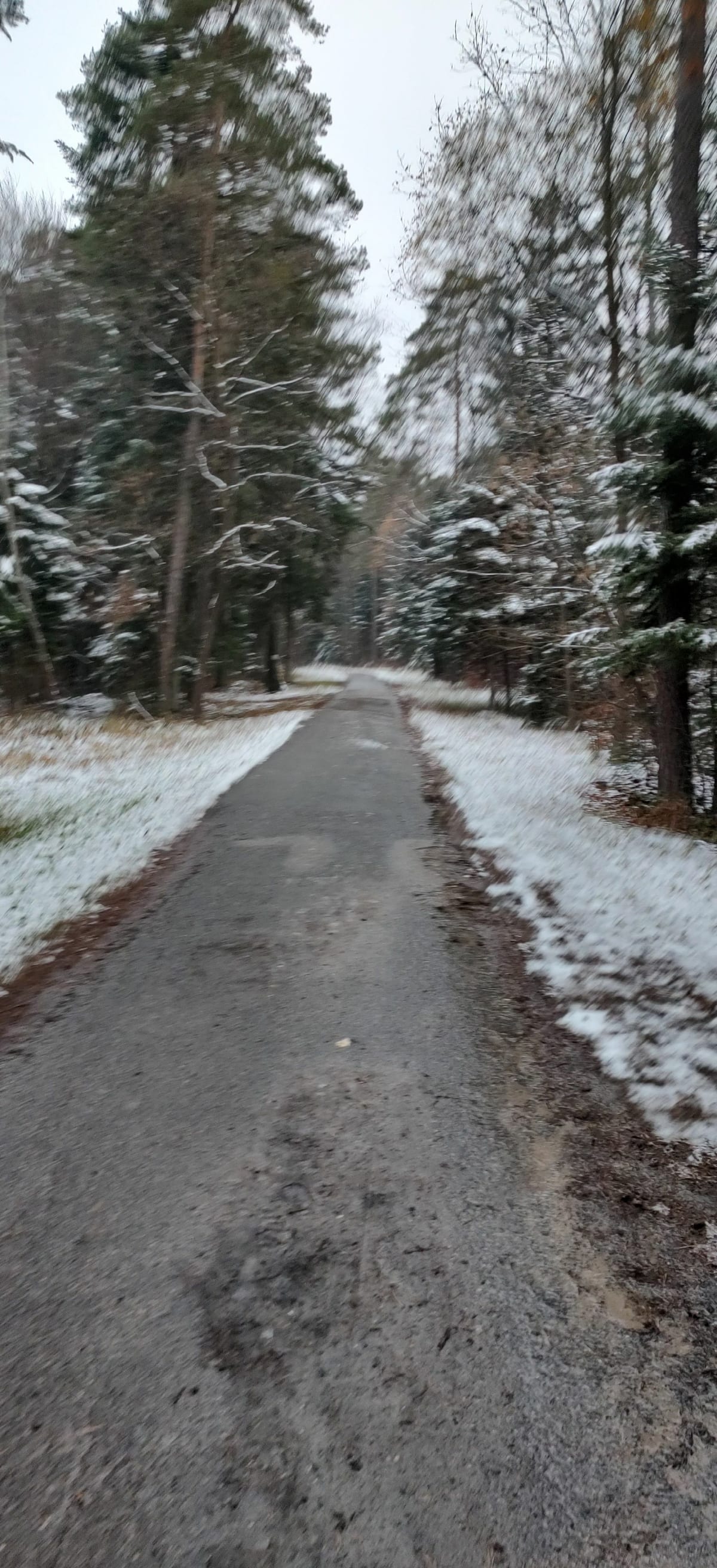Z Barwinka na Pierścienice - Kielce