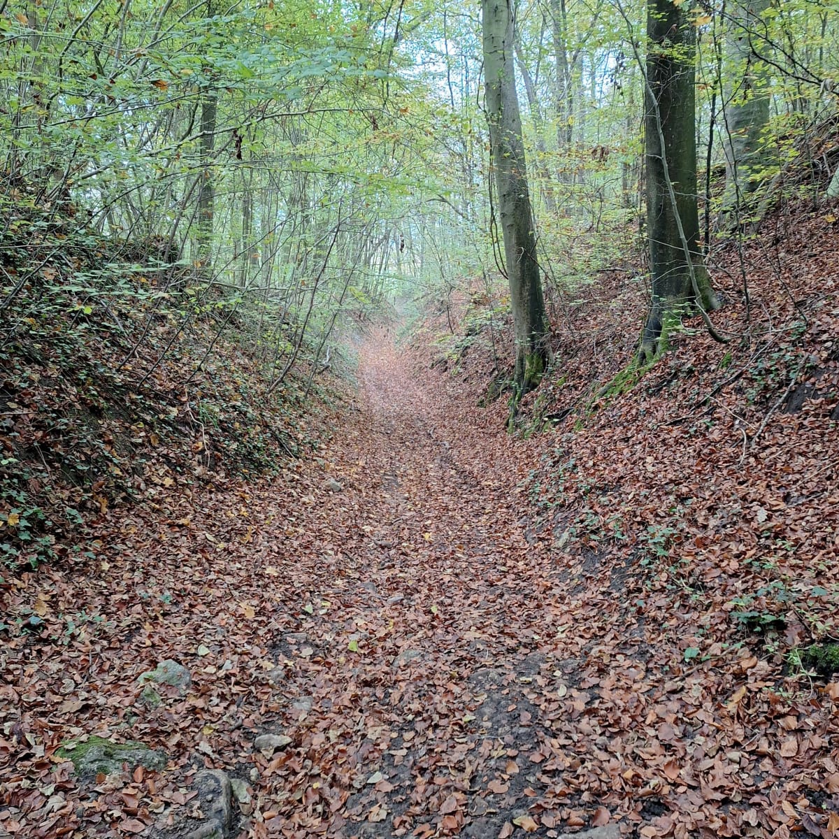 Autour de Neuilly sous Clermont - Breuil-le-Vert