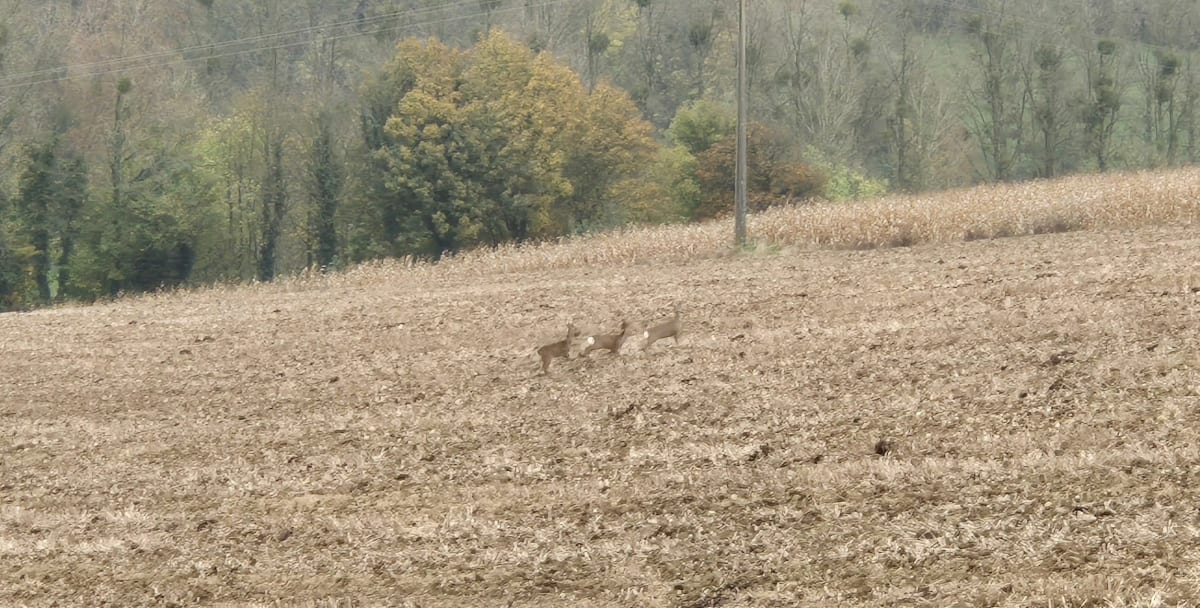 Autour de Boubers et Embry - Boubers-lès-Hesmond
